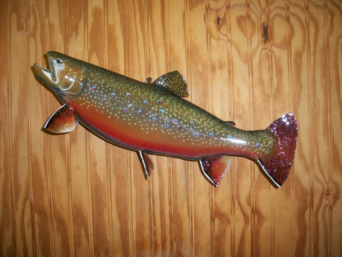 Skin mounted Brook and Rainbow Trout New Jersey Hunters